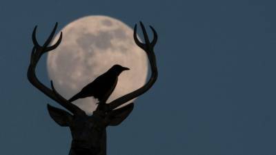 Buck moon: When to see July 2021’s full moon and why it may look red - fox29.com - Usa - Los Angeles - state Oregon