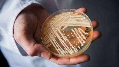 C. Auris superbug seen around US in clusters for ‘first time’, CDC says - fox29.com - Usa - city Atlanta