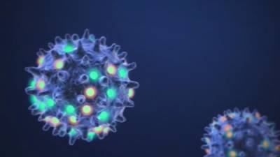 Delta variant viral load 1,000 times higher than original coronavirus strain - fox29.com - city Beijing - Usa - India