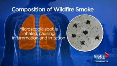Jackie Wilson - Harmful pollutants in wildfire smoke pose severe health risks - globalnews.ca