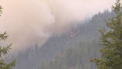 B.C. crews battle Nk’Mip Creek fire, as 250+ fires burn in province - globalnews.ca - Britain - city Columbia, Britain