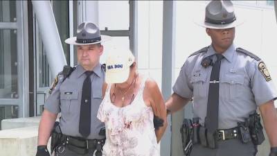 Woman drank mixed alcoholic beverage while driving before I-76 crash that killed firefighter, affidavit says - fox29.com