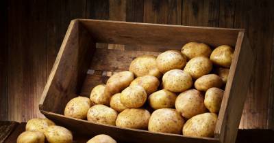 Eating potatoes could increase risk of developing three serious health issues - dailyrecord.co.uk