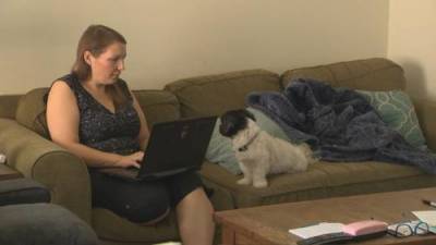 Returning to work? What about your pet? - globalnews.ca