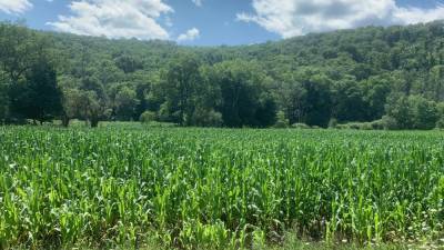 You think it gets humid in Philadelphia? 'Corn sweat' is causing 90-degree dew points in Iowa - fox29.com - New York - city Philadelphia - state Iowa - county Clarion