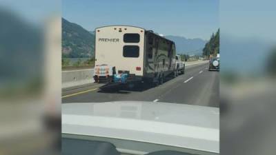 SPCA seizes dog strapped to back of RV during B.C. heat wave - globalnews.ca