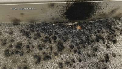 Police investigate fountain-style firework thrown into Tredyffrin Twp. home - fox29.com
