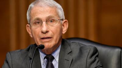 As delta variant surges, Fauci warns more 'pain and suffering' ahead - fox29.com