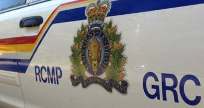 Suspect in custody after report of shooter in Newfoundland and Labrador: RCMP - globalnews.ca