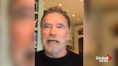 Arnold Schwarzenegger - Arnold Schwarzenegger tells people not following COVID-19 rules: ‘You’re a shmuck for not wearing a mask’ - globalnews.ca - state California