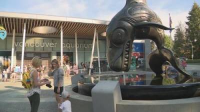 Grace Ke - Vancouver Aquarium set to reopen with new look - globalnews.ca