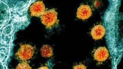 AstraZeneca's antibody therapy prevents Covid-19: Study - livemint.com - India