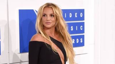 Britney Spears' dogs have been returned to her after concerns over their health, care: report - foxnews.com - county Ventura