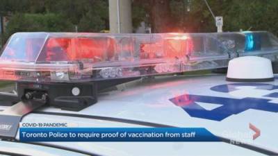 Marianne Dimain - Toronto Police Service mandates COVID-19 vaccination for all members - globalnews.ca
