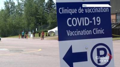 Tim Roszell - N.B. hits COVID-19 vaccination milestone - globalnews.ca