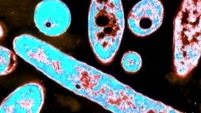 Callum Smith - N.B. health officials investigating legionnaires’ disease outbreak in Moncton - globalnews.ca - city New Brunswick