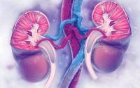COVID long-haulers may be at risk for severe kidney disease - cidrap.umn.edu - Usa - Washington - county St. Louis