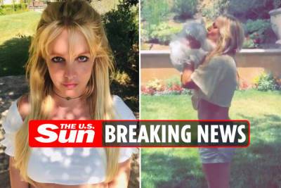 Britney Spears ‘will not be charged’ in relation to assault claims made by housekeeper after argument over dog’s health - thesun.co.uk - county Ventura