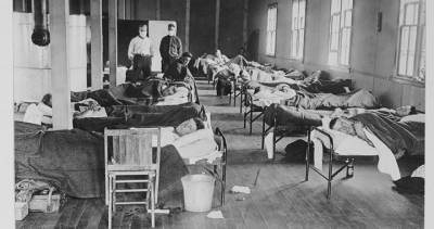 Howard Markel - COVID-19 has killed as many Americans as the Spanish flu - globalnews.ca - Usa - Spain - state Michigan