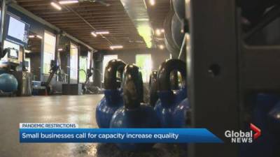 Matthew Bingley - Ontario small businesses call for capacity increase equality - globalnews.ca