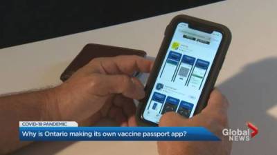 Matthew Bingley - Why is Ontario developing its own vaccine passport app? - globalnews.ca