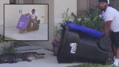 Florida man uses trash bin to catch alligator - fox29.com - state Florida