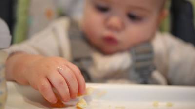 Government report finds ‘alarming levels’ of heavy metals in more baby foods - fox29.com - Washington