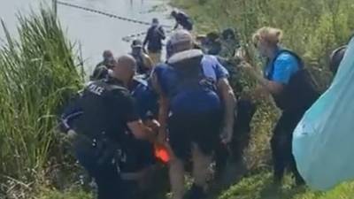 Dolphin rescued after getting 'pushed into' canal by Hurricane Ida - fox29.com - state Louisiana