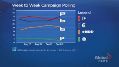 Canada election: Conservatives in the lead in weekly campaign polling - globalnews.ca - Canada