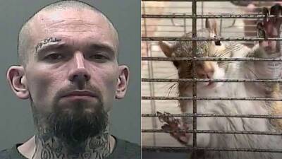 Alabama man accused of feeding meth to ‘attack squirrel’ faces new charges - fox29.com