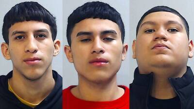 Online petition demands release of Texas brothers accused of killing stepfather over alleged abuse of sister - fox29.com - state Texas - city Houston - city Mcallen, state Texas - county Hidalgo