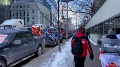 Trucker convoy: Blaring horns, cheers as hundreds descend on Parliament - globalnews.ca - city Ottawa