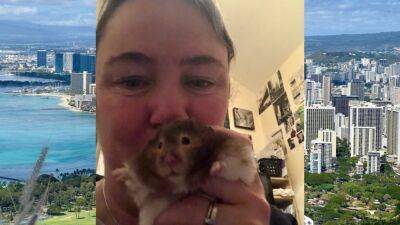 Harry Potter - UK woman flies 7,000 miles to Hawaii to scatter pet hamster’s ashes - fox29.com - Britain - state Hawaii - county Murray - Honolulu, state Hawaii