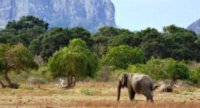 Mahinda Amaraweera - Yala safari: Legal action against animal abusers - newsfirst.lk