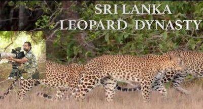Sri Lanka’s first Wild Life Documentary on Nat Geo WILD - newsfirst.lk - Usa - Sri Lanka - Germany - San Francisco, Usa