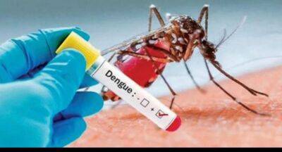 Dengue cases spike in Sri Lanka; Over 60,000 reported so far - newsfirst.lk - Sri Lanka
