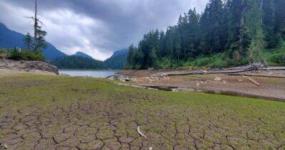 Williams - Sunshine Coast - How drought is taking its toll on Canada’s normally “wet” coast - globalnews.ca - Canada