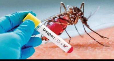 Dengue cases rising in Sri Lanka - newsfirst.lk - Sri Lanka
