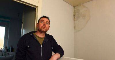 Scots council tenant fears for family's health with mouldy walls in house - dailyrecord.co.uk - Scotland