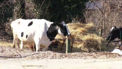 Philadelphia high school offers students hands-on farming classes - fox29.com - city Philadelphia