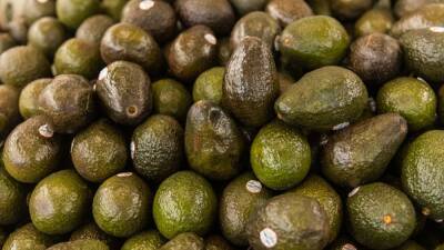 Jeenah Moon - US suspends avocado imports from Mexico - fox29.com - New York - Usa - Mexico - city Mexico