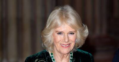 Windsor Castle - Charles Princecharles - Camilla - prince Charles - Royal Highness - Camilla in self-isolation as she tests positive for Covid-19 days after Prince Charles - ok.co.uk