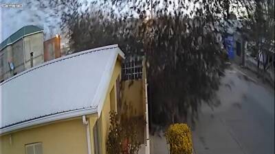 Video captures flock of birds suddenly falling from the sky in Mexico - fox29.com - state California - Canada - state Texas - Mexico