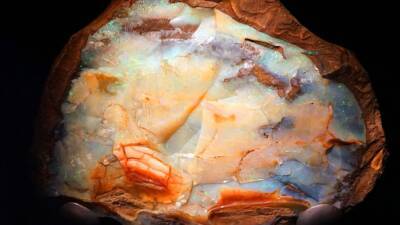 Large opal sells for nearly $144K at Alaska auction - fox29.com - Australia - state Alaska - Juneau, state Alaska