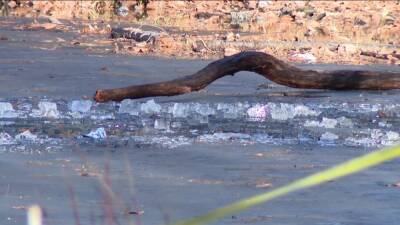 Teen, officer help save 3 children who fell through ice covered pond in Collingdale - fox29.com - state Delaware