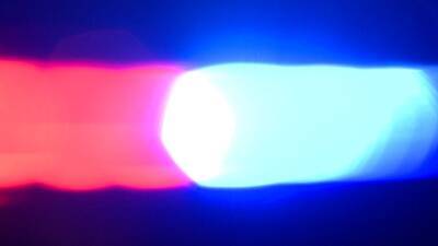 Las Vegas boy found dead in freezer, mother’s boyfriend arrested: police - fox29.com - city Las Vegas - county Clark