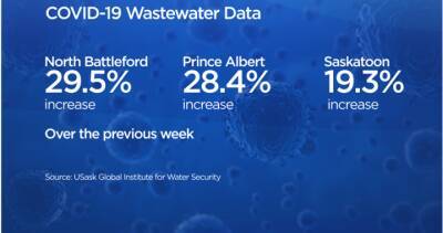 prince Albert - John Giesy - COVID-19: Saskatchewan wastewater shows small increases, large amount overall - globalnews.ca