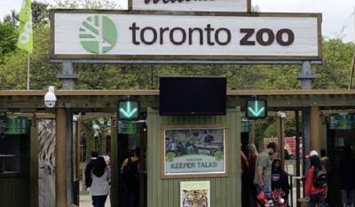 Toronto Zoo - Toronto Zoo to continue checking for proof of COVID vaccination - globalnews.ca