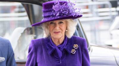 Justin Trudeau - Elizabeth Ii Queenelizabeth (Ii) - Windsor Castle - Charles Princecharles - Kate Middleton - Camilla Parker Bowles - Camilla, Duchess of Cornwall, Cancels Appearance as She Continues to Recover From COVID - etonline.com - Ireland - county Centre - county Prince William - city London, county Centre