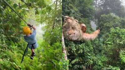 Kid runs into sloth while zip-lining in Costa Rica - globalnews.ca - Costa Rica